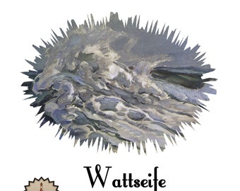 Jabón Brisa Marina Natural | Jabón | Jabón para Llanuras | Sin Aceite de Palma | Vegano | Dangast | Agua de Salmuera | Jabón de Salmuera | Exfoliante | Exfoliante | Barro [204]