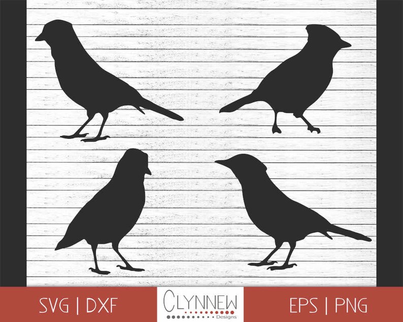 Download Birds Svg Blue Jay Svg For Cricut And Silhouette Svg Cut File Bird Svg Animal Svg Svg File Foxsister Blue Jays Svg Vector Clipart Clip Art Art Collectibles Vadel Com