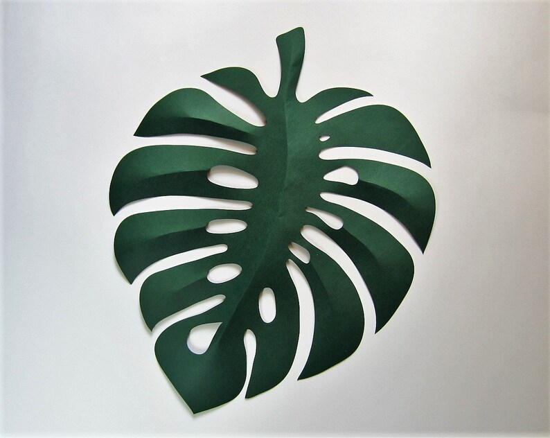 Download Monstera Leaf SVG Dxf Png Cutting Files Digital Tropical ...