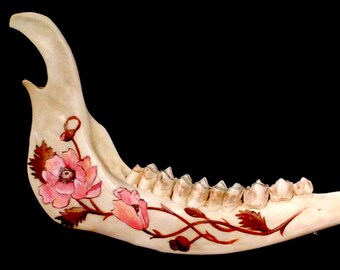 Hand painted doe lower jaw with floral pattern