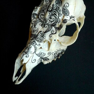 Vintage deer skull hand painted with Chinese ink tattoo inspiration motif