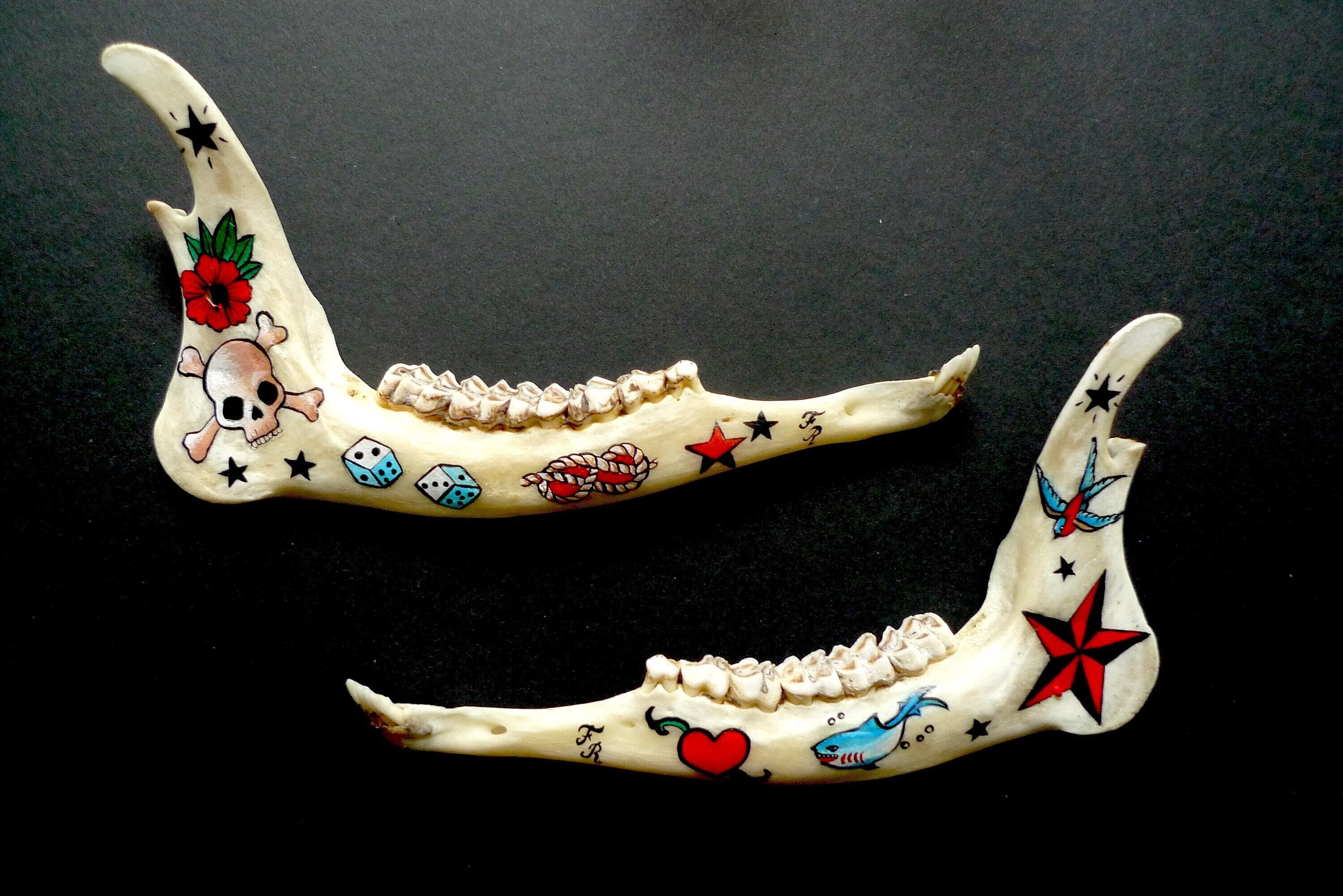 Lot de Mâchoires Inférieures Chevreuil Peintes avec Des Motifs Tatouages Old School