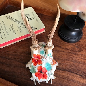 Vintage hand-painted deer skull with nasturtium motif