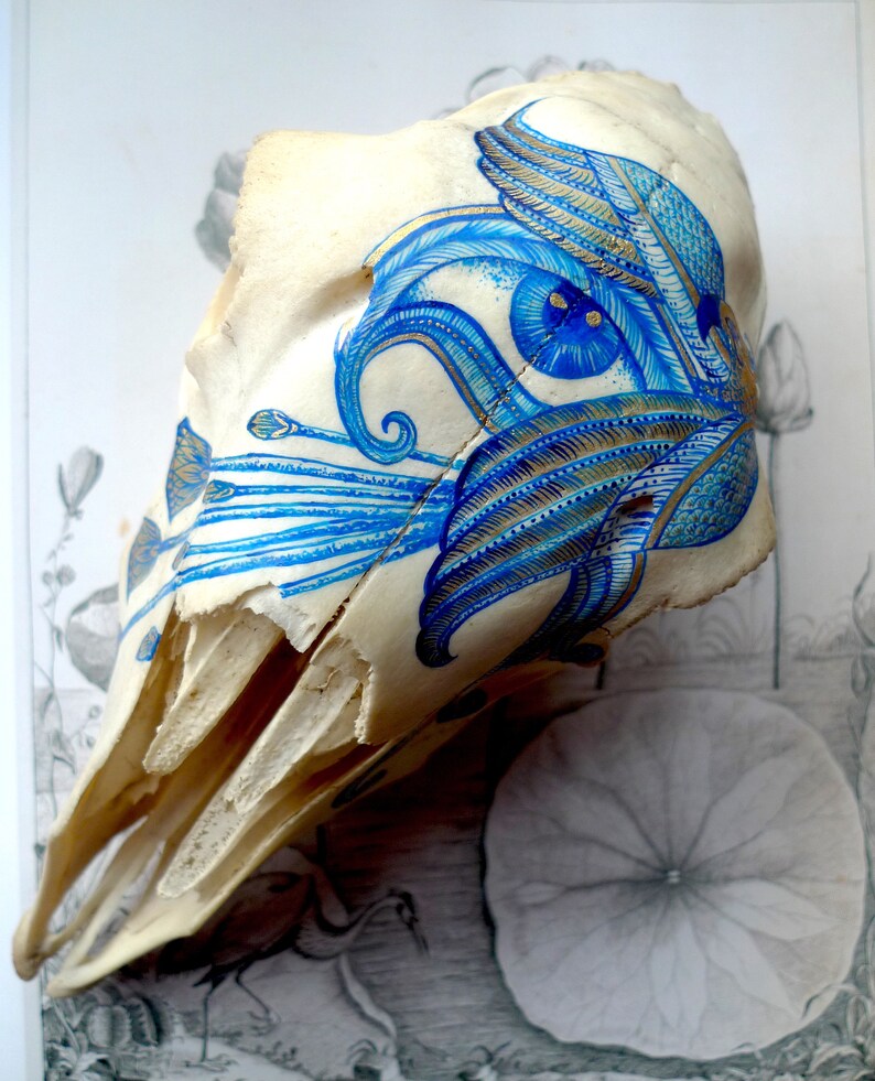 May include: A white animal skull with a blue and gold painted design. The design features intricate floral patterns and swirls.