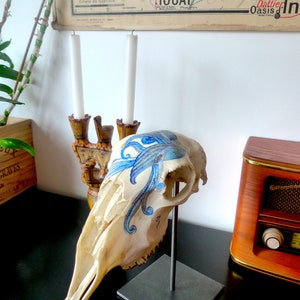 May include: A white animal skull with a blue and white painted design on the side. The skull is mounted on a black metal stand. The skull is on a black surface.