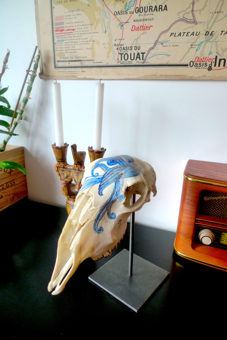 May include: A white animal skull with a blue and white painted design on the side. The skull is mounted on a black metal stand. The skull is on a black surface.