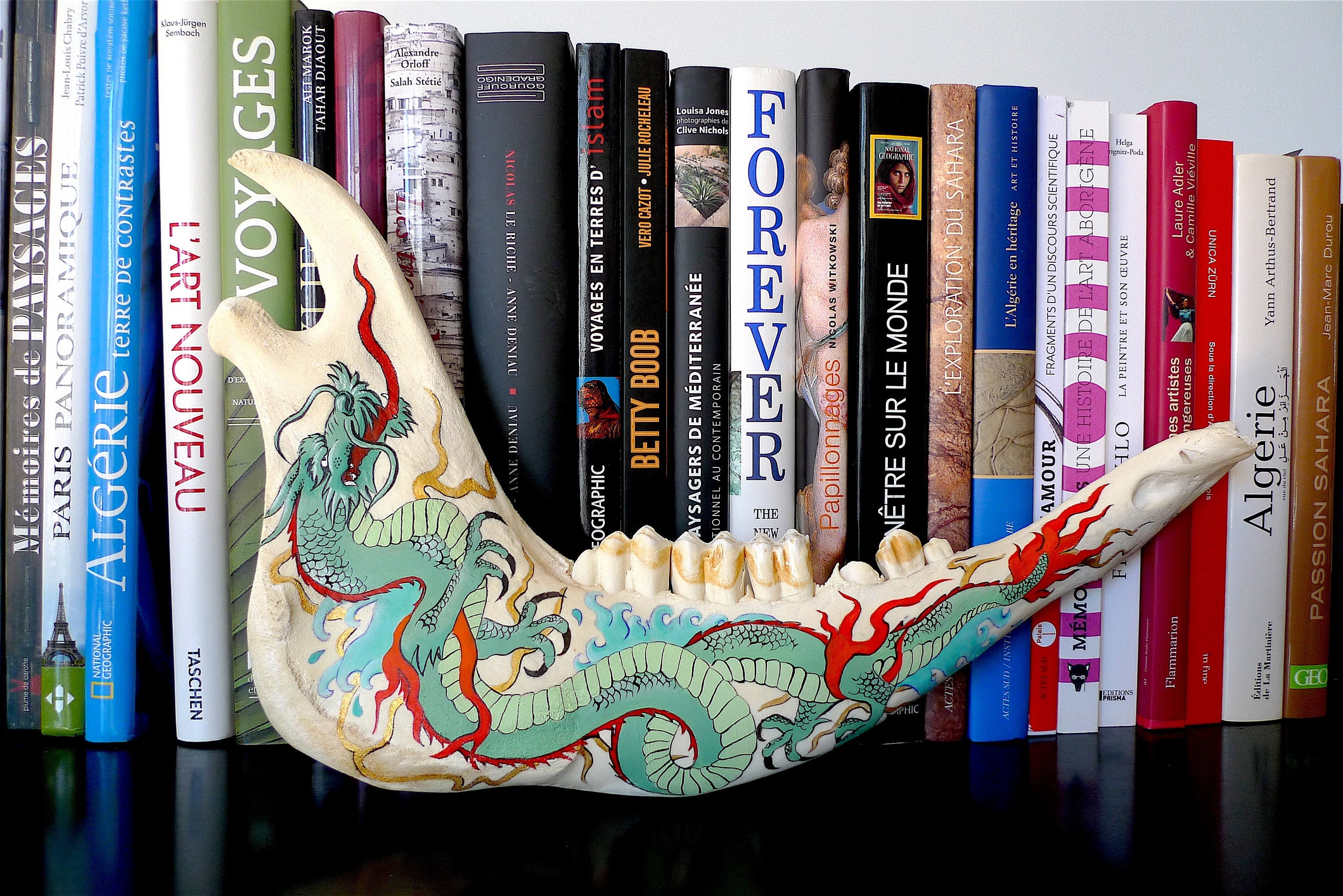 Mâchoire Inférieure de Taureau Highland Cattle Peinte à La Main avec Motif Tatouage Dragon Asiatique