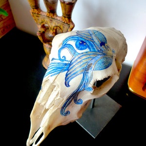 May include: A white animal skull with a blue and gold painted design. The skull is on a black stand and has a detailed design of a bird with its wings spread.