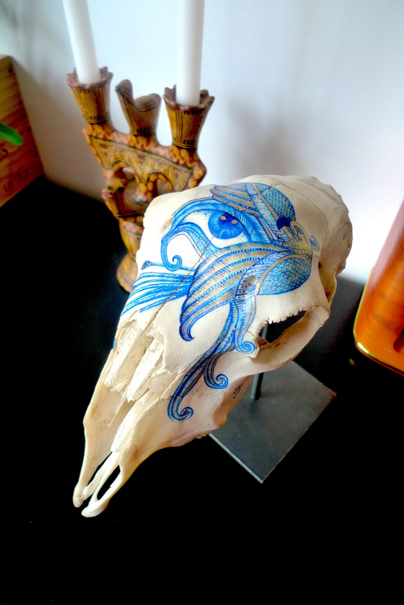 May include: A white animal skull with a blue and gold painted design. The skull is on a black stand and has a detailed design of a bird with its wings spread.