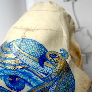 May include: A white animal skull with a blue and gold painted design of a bird with intricate details. The bird's eye is painted blue with gold accents.