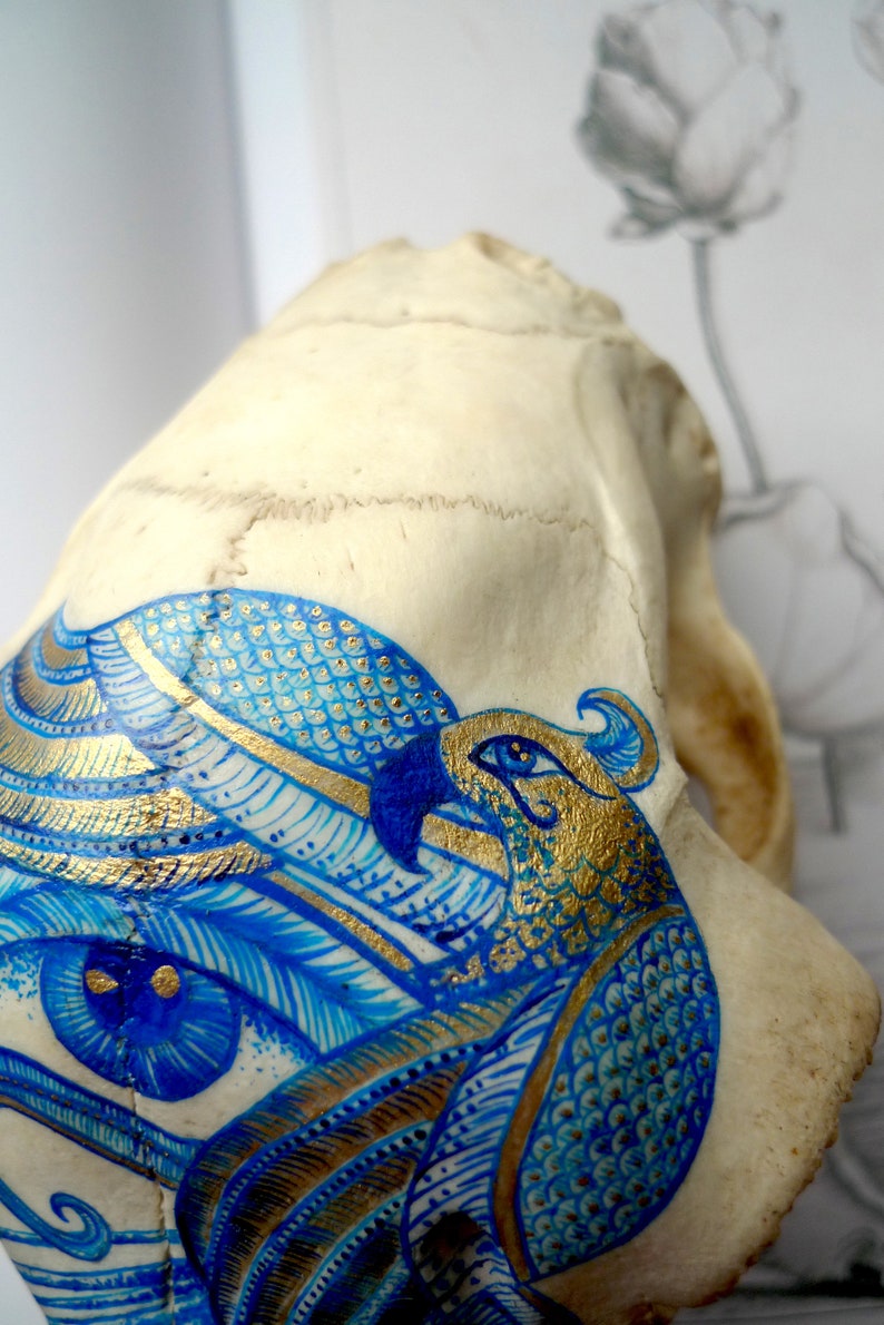 May include: A white animal skull with a blue and gold painted design of a bird with intricate details. The bird's eye is painted blue with gold accents.
