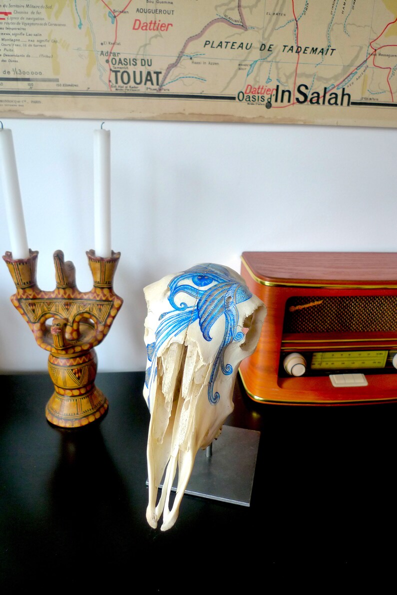 May include: A white animal skull with a blue and white painted design. The skull is on a black surface with a wooden radio and a candle holder in the background.