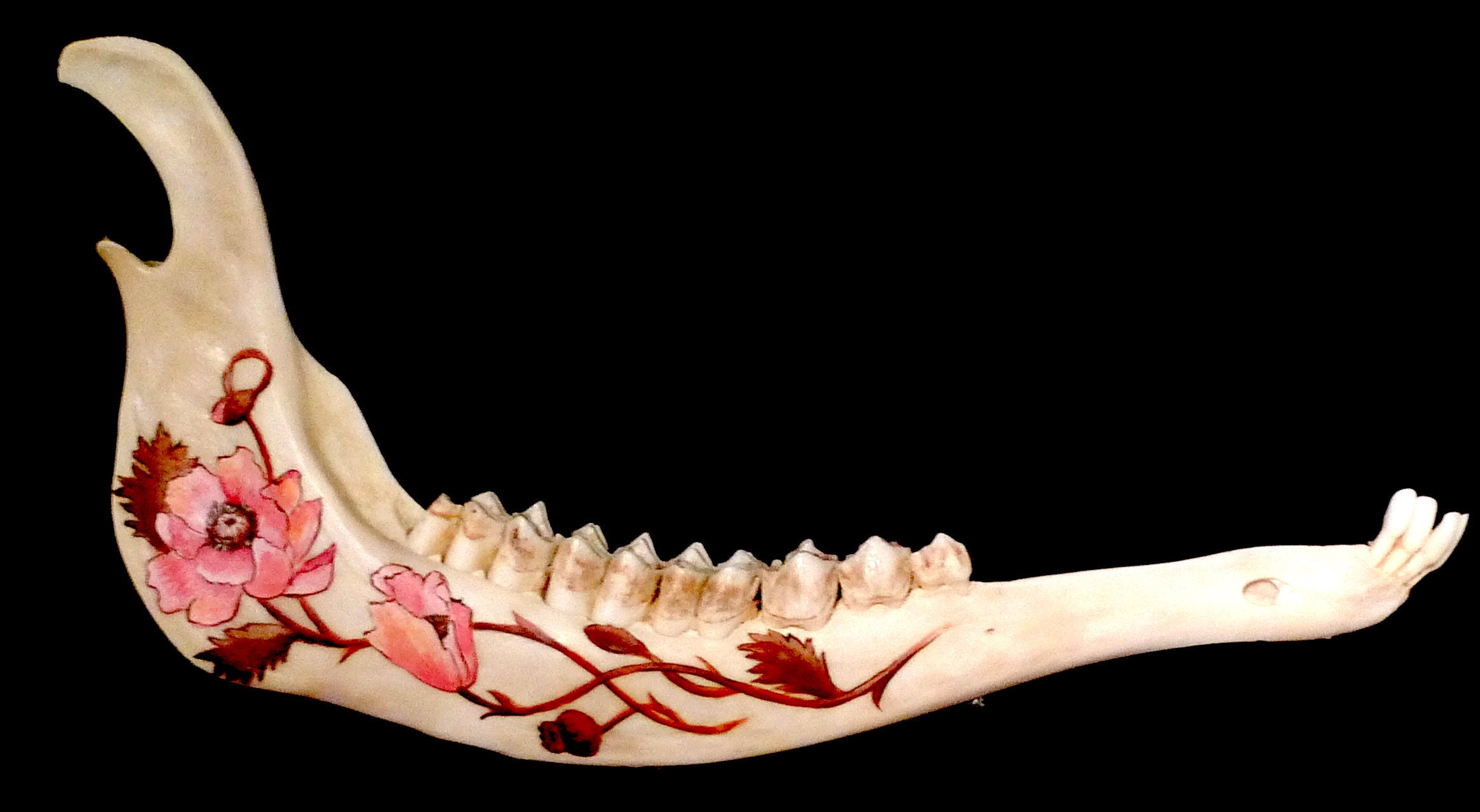 Mâchoire Inférieure de Biche Peinte à La Main avec Motif Floral