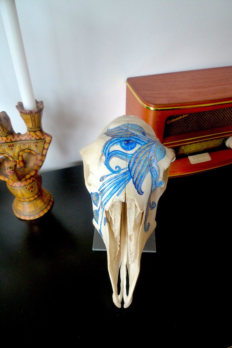 May include: A white animal skull with a blue and white painted design. The design features a large eye with intricate details and floral patterns.