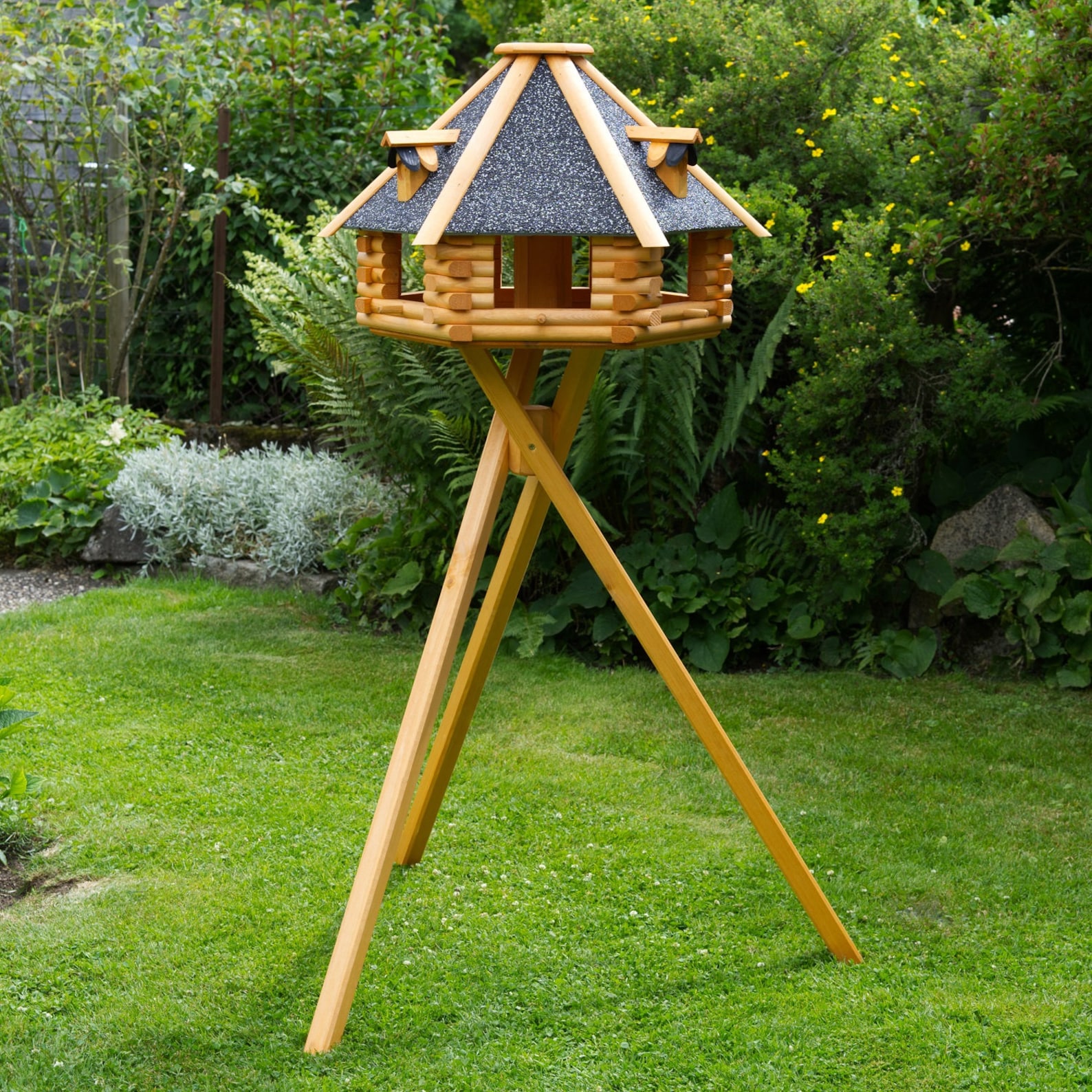 Vogelhaus Mit Stnder