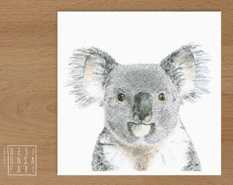 Wandbild 'Tiere im Portrait' - *Koala*