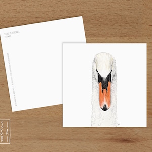 Karte 'Tiere im Portrait' - *Schwan*