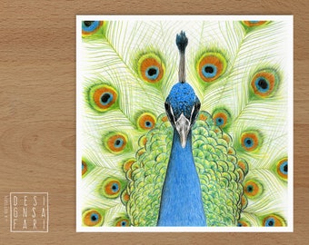 Wandbild 'Tiere im Portrait' - *Pfau*