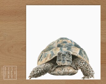 Wandbild 'Tiere im Portrait' - *Schildkröte*