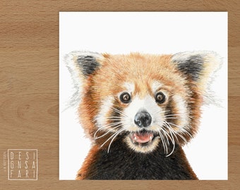 Wandbild 'Tiere im Portrait' - *Roter Panda*