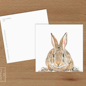 Karte 'Tiere im Portrait' - *Hase*