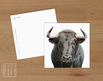 Karte 'Tiere im Portrait' - *Stier*