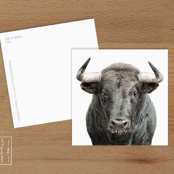 Karte 'Tiere im Portrait' - *Stier*