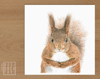 Wandbild 'Tiere im Portrait' - *Eichhörnchen*