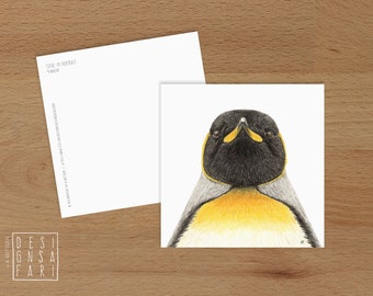 Karte 'Tiere im Portrait' - *Pinguin*