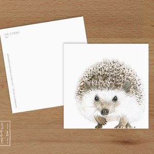 Karte 'Tiere im Portrait' - *Igel*