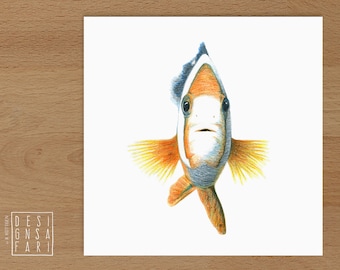 Wandbild 'Tiere im Portrait' - *Fisch*