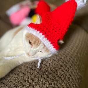 Santa Cat Hat