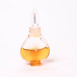 Könnte beinhalten: Eine klare Glasflasche mit einem strukturierten Design, gefüllt mit einer goldenen Flüssigkeit. Die Flasche hat einen spitzen Stopfen mit dem Wort "CHAMADE" darauf.