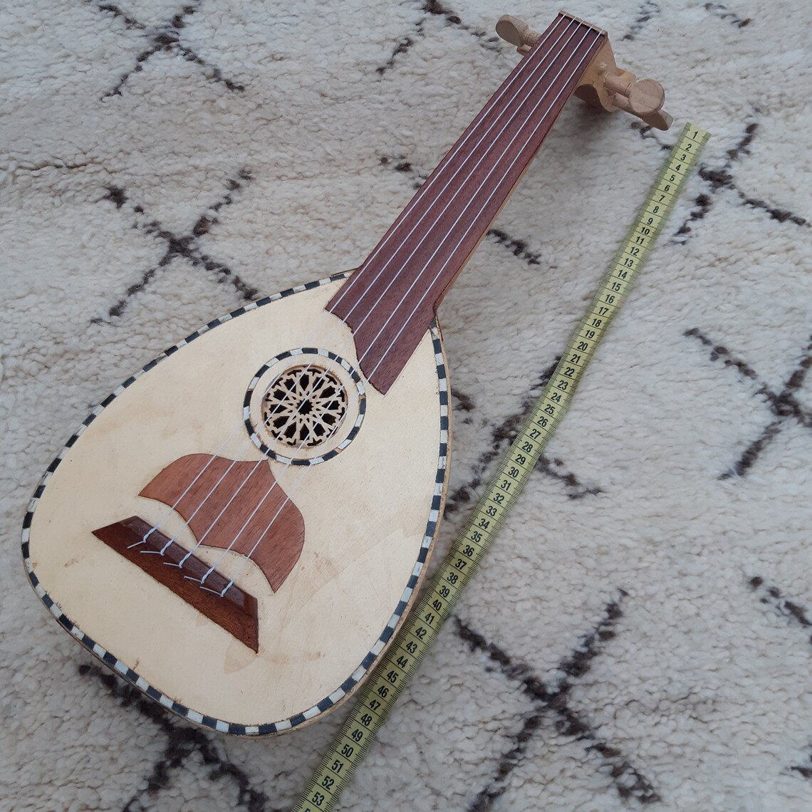 stringed instruments like a lute stringed instruments like a lute