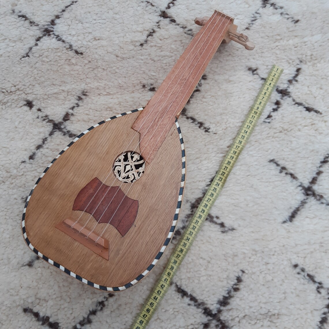 small stringed instrument