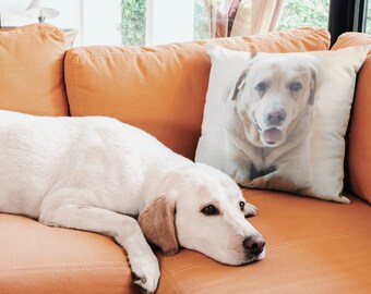 Custom personalized Pet Pillow, Personalized Dog or Cat Photo Throw Pillow, pet Memorial,pet Portrait, pet Keepsake,Gift Idea for Pet Lovers