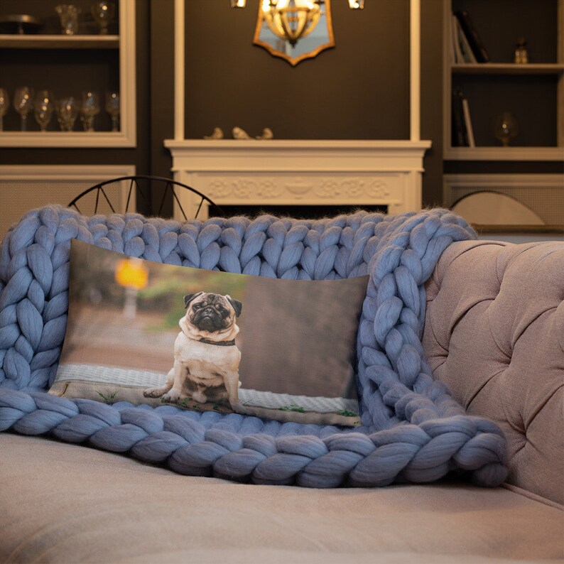 Personalized Pet Photo Pillowpet Throw Pillow Add Pet's Etsy