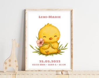 Sweet little chick - birth picture with frame