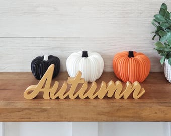 Freestanding Autumn Sign | Fall Tier Tray  Decor | Cozy Fall Farmhouse Decor | Thick Autumn Sign | 3D Fall Decor | Desk Shelf Table Decor