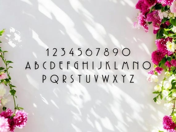 2" BLACK ACRYLIC Modern Mailbox Numbers | Address Numbers and Letters | Home Address Letters | Street Name Letters | Contemporary Letters
