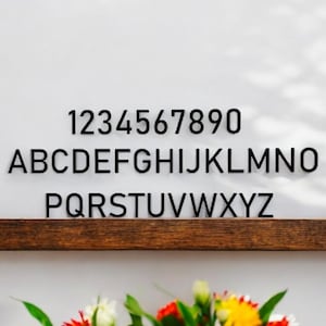 6&quot; modern mailbox numbers | metal address numbers and letters | home address letters | street name letters | contemporary letters