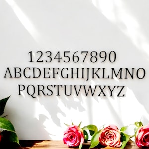 6&quot; modern mailbox numbers | metal address numbers and letters | home address letters | street name letters | contemporary letters