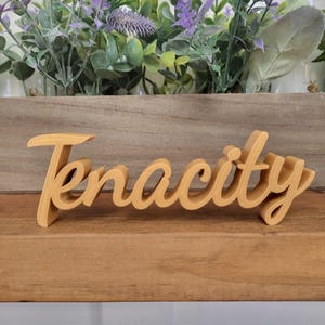 May include: A wooden sign with the word "Tenacity" written in a cursive font. The sign is painted a light brown color and is sitting on a wooden surface.