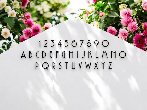 6" Modern Mailbox Numbers | WEATHERPROOF Address Numbers and Letters | Home Address Letters | Street Name Letters | Contemporary Letters
