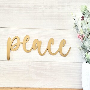 May include: Gold wooden sign with the word "peace" written in cursive script. The sign is hanging on a white wood wall with a snowy green plant in a white ceramic vase to the right.
