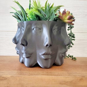 May include: A black ceramic planter shaped like four faces, with a variety of green succulents growing inside.
