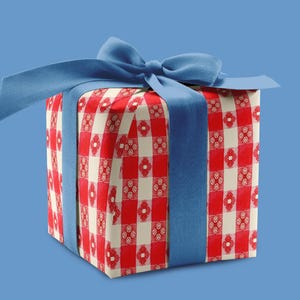 May include: A square gift box wrapped in red and white checkered paper, tied with a blue satin ribbon and bow. The gift is presented against a solid blue background, creating a visually appealing contrast.