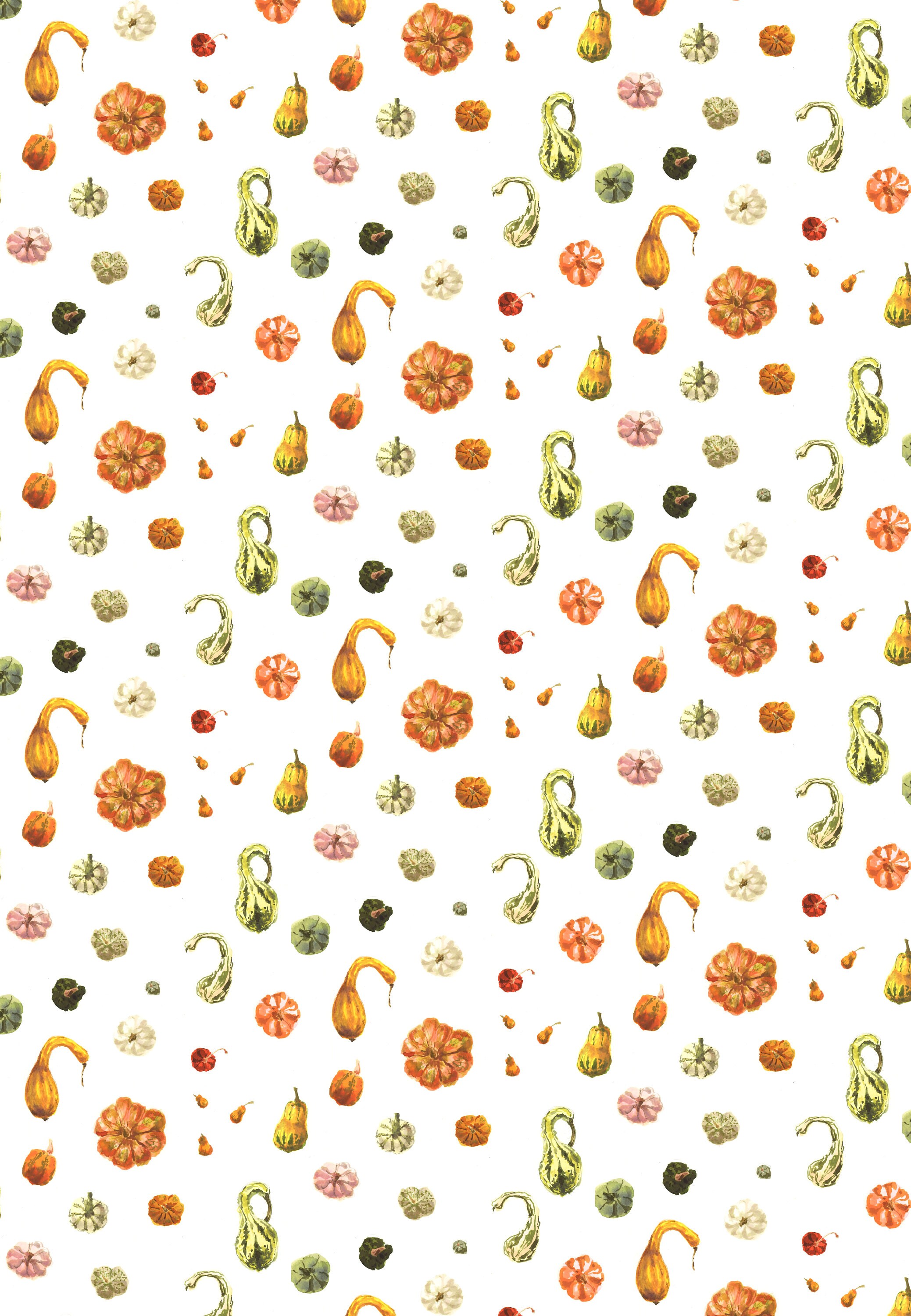 Pumpkins and Gourds Wrapping Paper