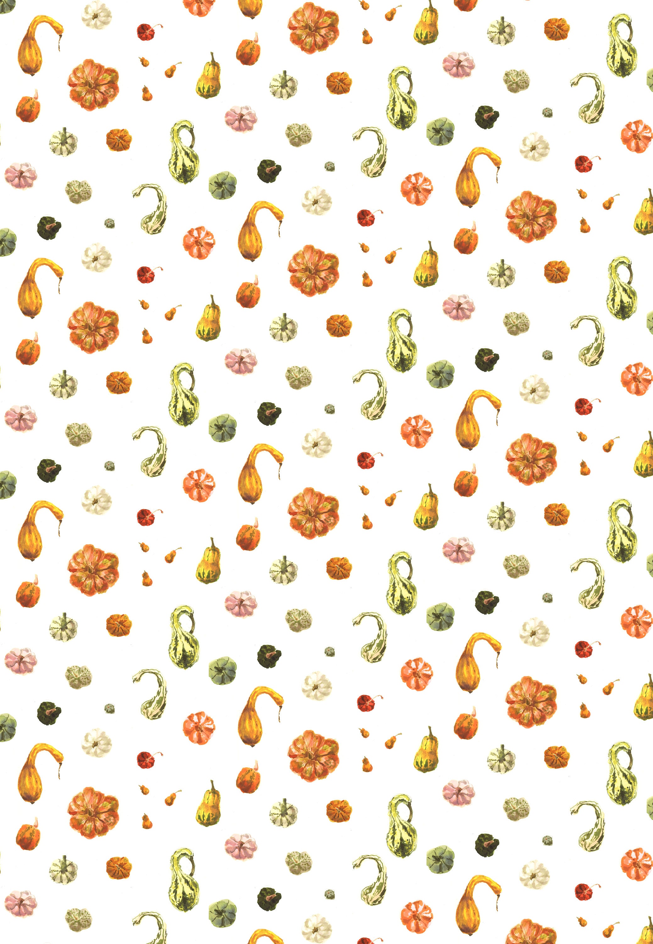 Pumpkins and Gourds Wrapping Paper