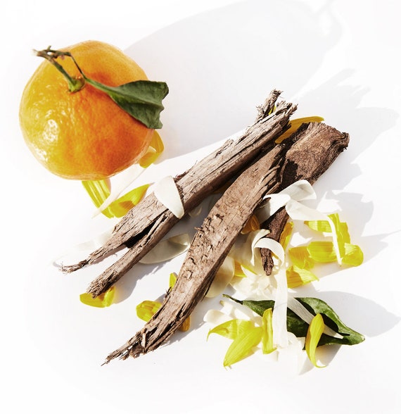 black amber fragrance oil